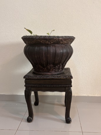 Riyadh, Furniture, SAR 50,  Pot