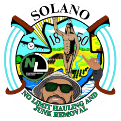 New York, Business, No Limit Hauling And Junk Removal