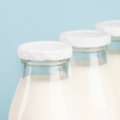 Reclaiming Whole Milk In 2026: The U.S. Nutrition Shift