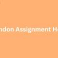 How To Choose The Best London Assignment Help For Your Needs