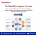 Professional NetSuite Development Services For Enterprise Solutions