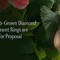 INR 65850,  Buy Lab-Grown Diamond Engagement Rings For Unforgettable Proposals