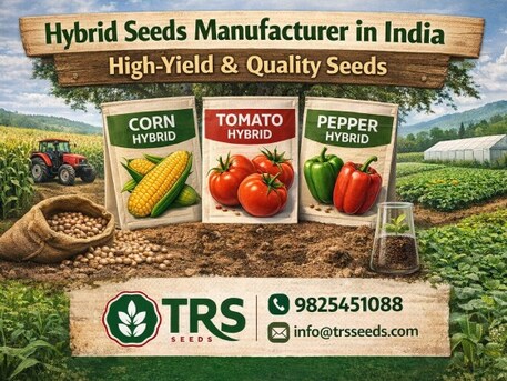 Ahmedabad, Farm & Garden, Hybrid Seeds Manufacturer In India | High-Yield & Quality Seeds