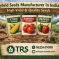 Hybrid Seeds Manufacturer In India | High-Yield & Quality Seeds