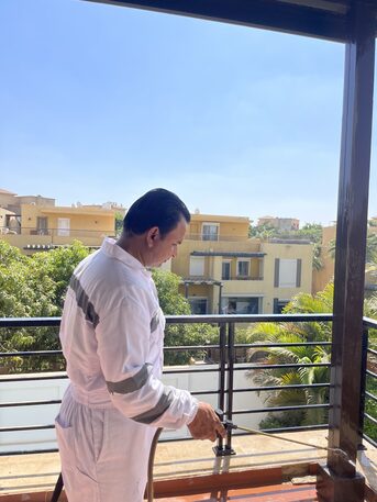 Cairo, Pest Control, مكافحة البعوض: أفضل مكافحة للبعوض في المنز