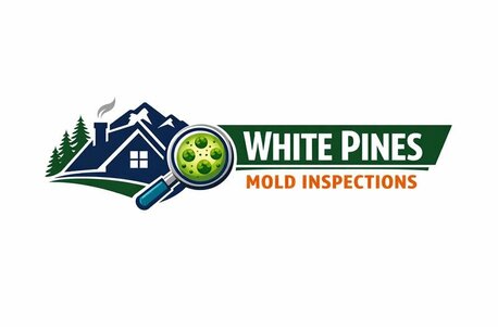 New York, Business, White Pines Mold Inspections