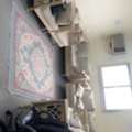 SAR 1200/month,  Furnished,  Bachelor Room Available