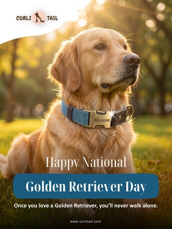 Washington DC, Pet Supplies, USD 28,  Why USA Pet Parents Are Switching To This Custom Personalized PU Leather Dog Collar