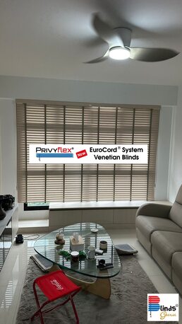 Singapore, Business, Blinds Guru