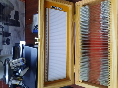 Madinah, Appliances, SAR 250,  Medical Microscope Available