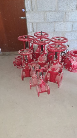 Riyadh, Technical, Fire Alarm Fire Fighting Systems HDP And FM200
