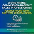 Commission-Based Sales Executive (IT Services)
