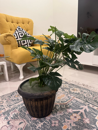 Jubail, Furniture, SAR 80,  Beautiful Artificial Plant