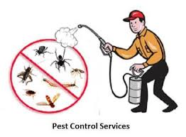 Dammam, Pest Control, ✅✅✅ PEST CONTROL AMC & ANNUAL CONTRACTS &ndash; DAMMAM ✅✅✅