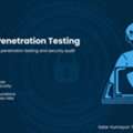 Network Penetration Testing Services