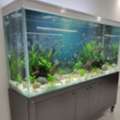 SAR 500,  Aquarium With Fish For Sale