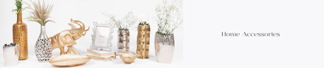 Noida, Photo & Video, Are You Looking For A Stylish Plant Stand?