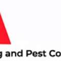 Expert Building And Pest Inspection Ipswich