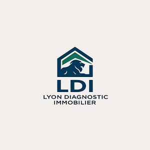 Paris, Business, Lyon Diagnostic Immobilier