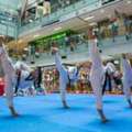Kids Taekwondo Program Singapore With Fun & Discipline For Children