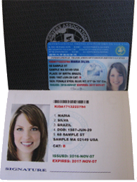 New York, Business, International Driving Permit Online