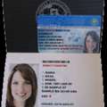 International Driving Permit Online