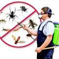 ✅✅✅ PEST CONTROL & INSECT TREATMENT &ndash; JUBAIL ✅✅✅