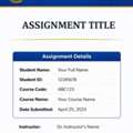 Professional University Assignment Cover Page Format