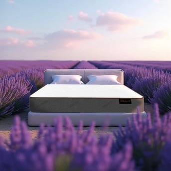 Bangkok, Business, Buy Ecoflex Mattress