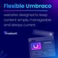Optimised Umbraco Websites For Maximum Engagement