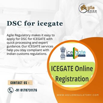 Noida, Business, Affordable DSC For ICEGATE Services Available