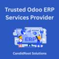 Trusted Odoo ERP Services Provider
