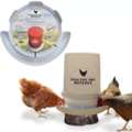 Automatic Chicken Feeder