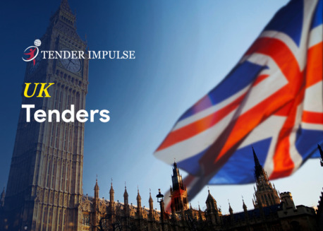 London, Business, Access Global And UK Tender Opportunities At Tender Impulse