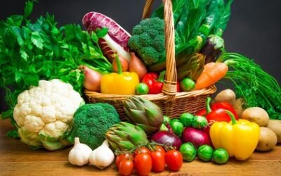 Berlin, Medical, Warum Eine Professionelle Ern?hrungsberatung In Speyer Sinnvoll Ist