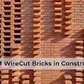 Wire Cut Bricks Manufacturer