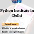 Which Is The Best Python Institute In Delhi For Career Growth?