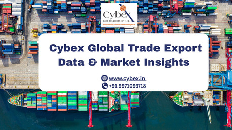 Noida, Business, Cybex Global Trade Export Data & Market Insights