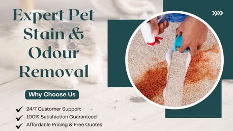 Sydney, Cleaning, Carpet Cleaning Kalamunda &ndash; Fresh Carpets, Healthier Homes Every Day