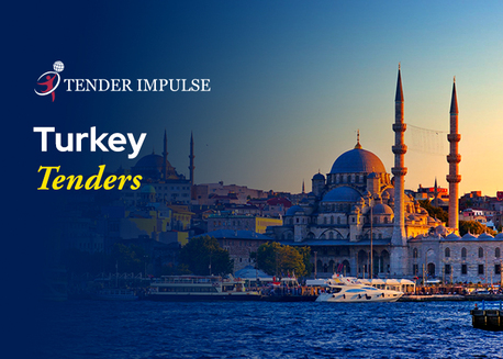 Istanbul, Business, Explore Turkey Tenders And Contracts With Tender Impulse