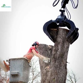 New York, Farm/Garden, Stump Removal Services For Clean And Level Outdoor Areas