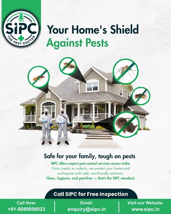 Chennai, Pest Control, Mosquito Pest Control Chennai | Home Mosquito Treatment | Best Pest Control Services