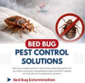 Jubail, Pest Control, ✅✅✅ LABOR CAMP BED BUG & COCKROACH CONTROL &ndash; 057 007 6842✅✅✅