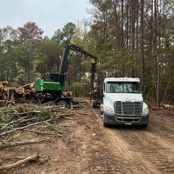 New York, Cleaning, Emergency Tree Removal You Can Count On