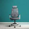 INR 5000,  High Back Office Chairs By IAFA | Premium Ergonomic Seating For Long Hours