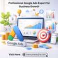 Professional Google Ads Expert For Business Growth