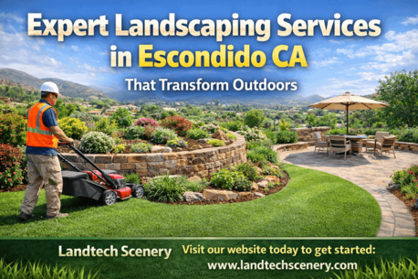 New York, Business, Expert Landscaping Services In Escondido CA That Transform Outdoors