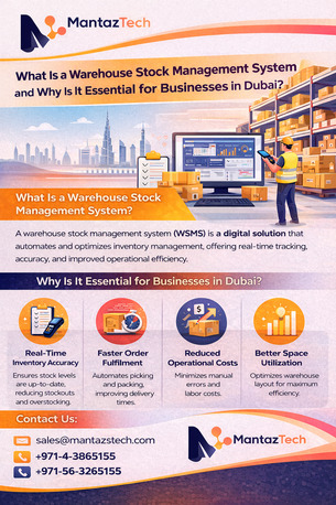 Dubai, Security, What Is A Warehouse Stock Management System And How Does It Help Control Inventory?