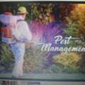 Pest Control Services