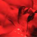 Infrared Therapy Services In Portland OR
